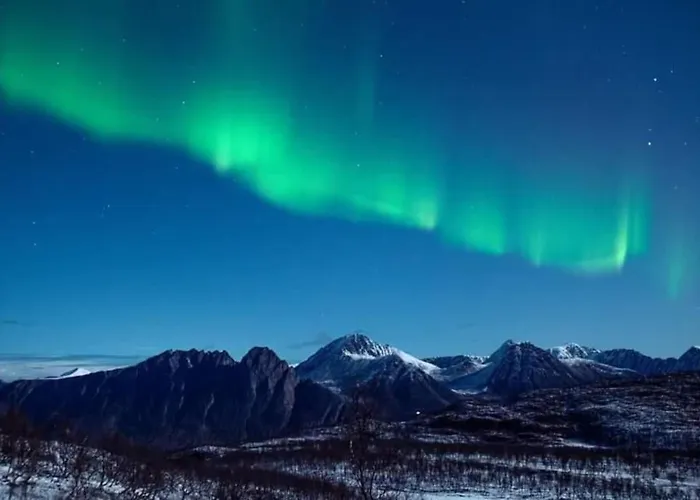 Innsletta * Harstad
