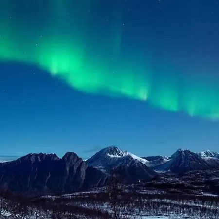 Innsletta * Harstad